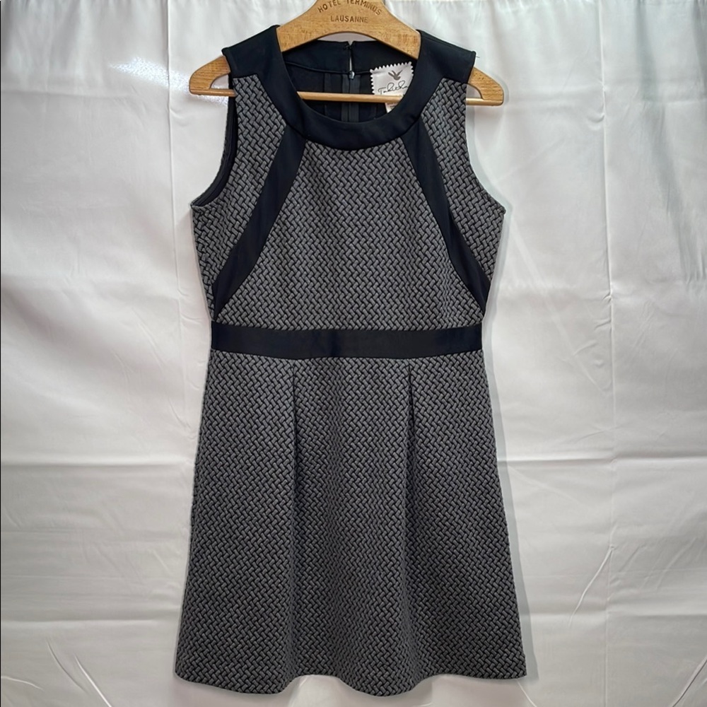 Tabitha Black and Gray Women's Dress